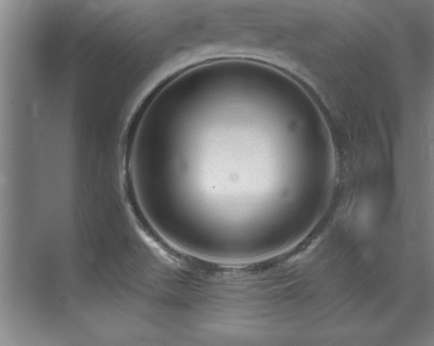 X0000073831511200608101150