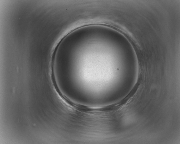 X0000073831512200608101150