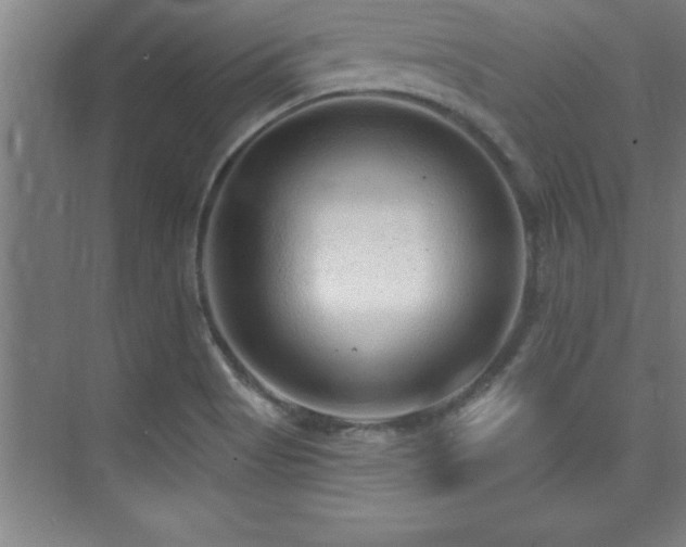 X0000073831513200608101150