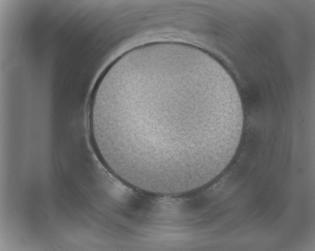 X0000073831514200608101150