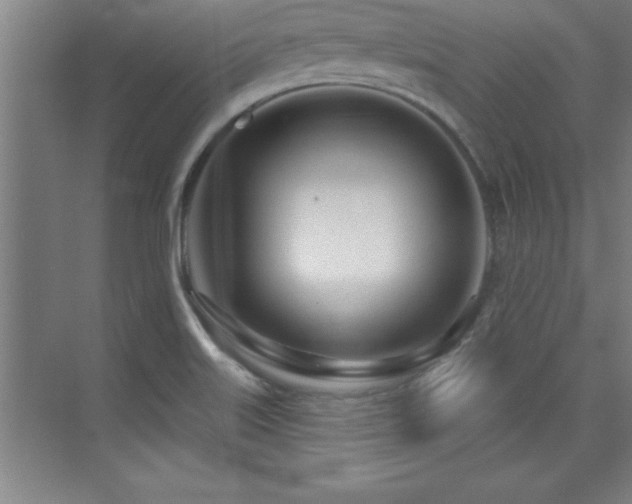 X0000073831515200608101150