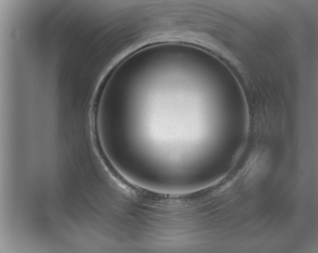 X0000073831517200608101150