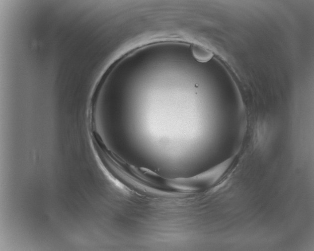 X0000073831519200608101150