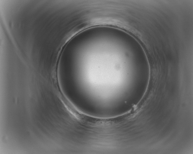 X0000073831521200608101150