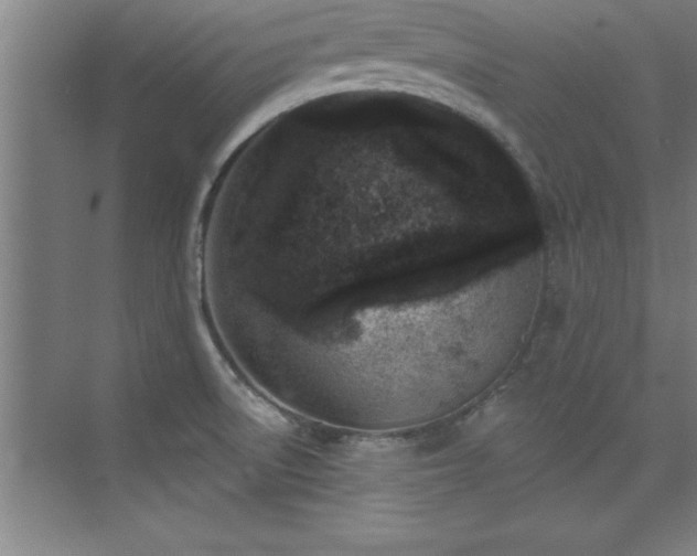 X0000073831522200608101150