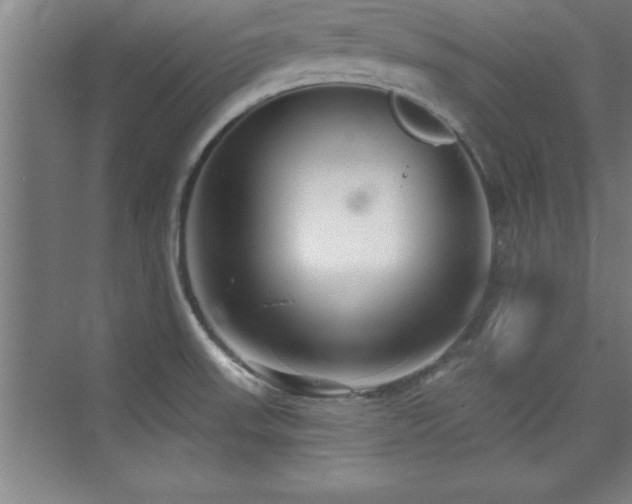 X0000073831523200608101150