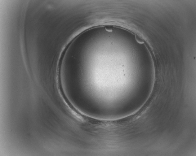 X0000073831525200608101150