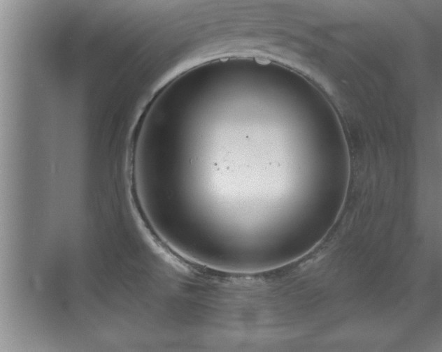 X0000073831526200608101150