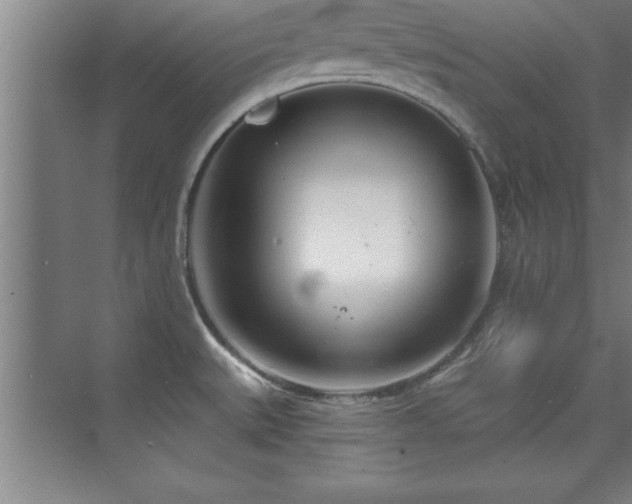 X0000073831527200608101150