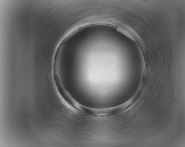 X0000073831528200608101150