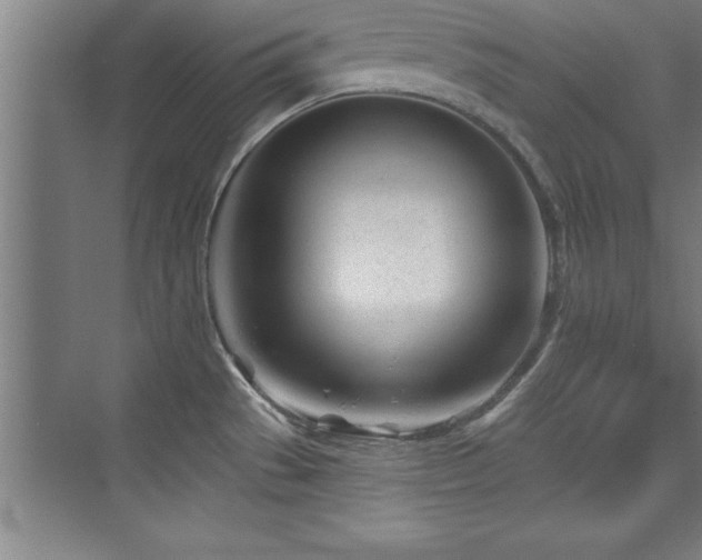 X0000073831529200608101150