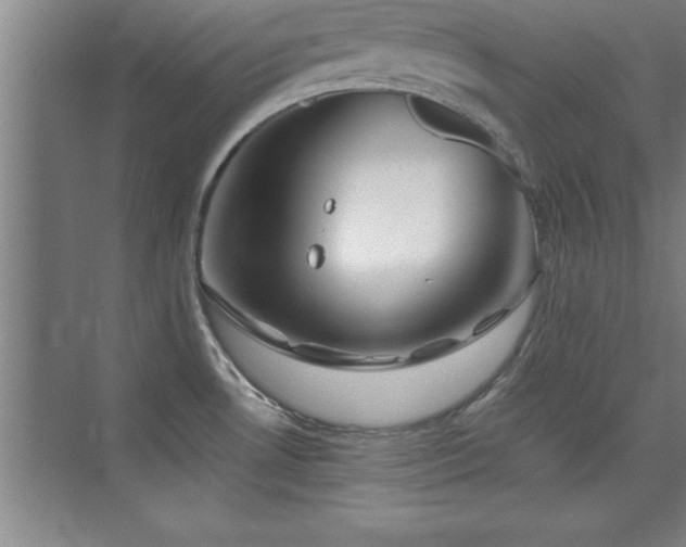 X0000073831530200608101150