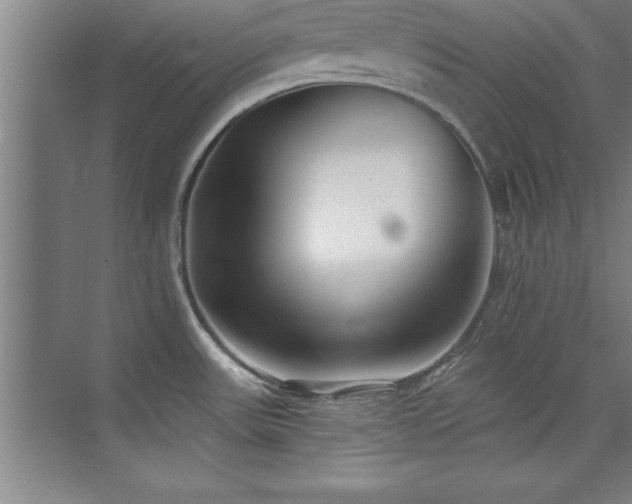 X0000073831531200608101150