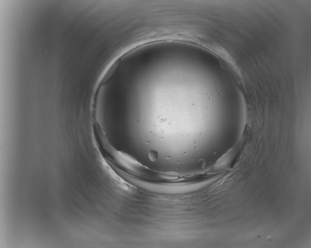 X0000073831532200608101150