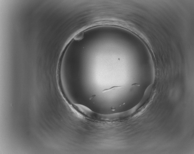 X0000073831533200608101150