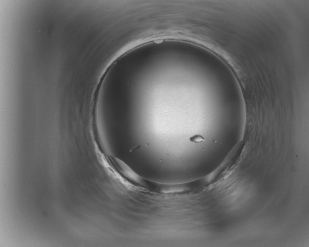 X0000073831534200608101150