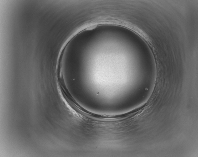 X0000073831536200608101150