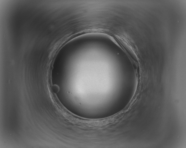 X0000073830001200608170953