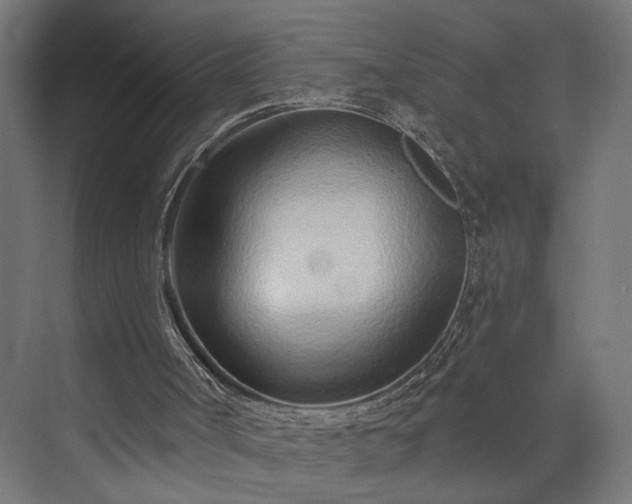 X0000073830002200608170953