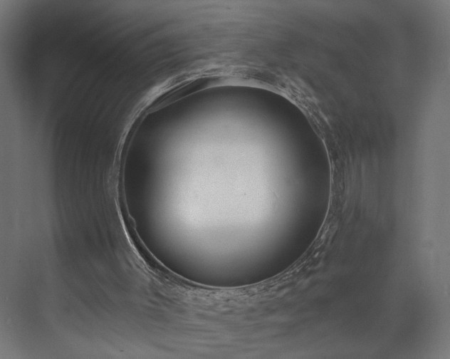 X0000073830003200608170953