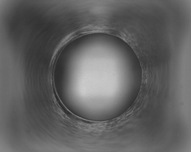 X0000073830004200608170953