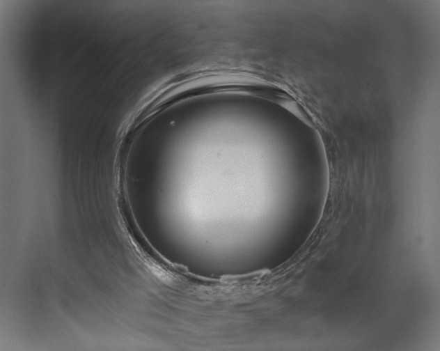 X0000073830005200608170953