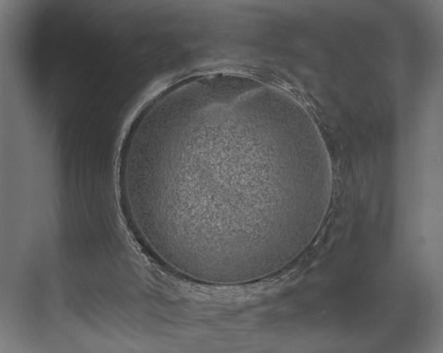 X0000073830006200608170953