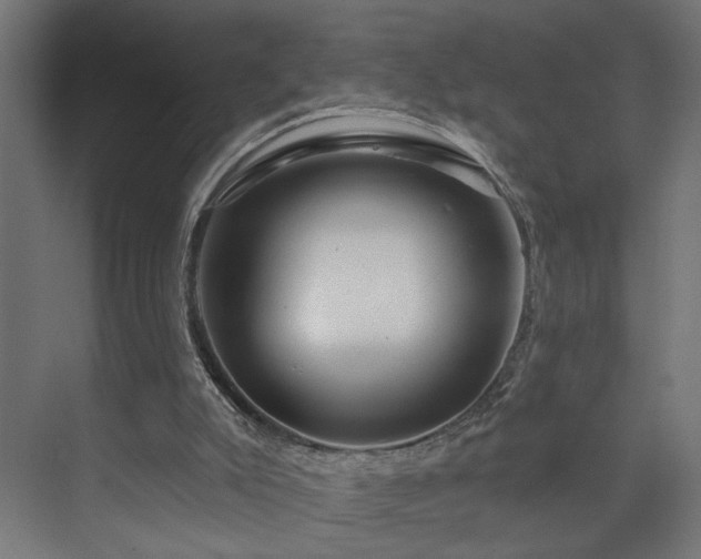 X0000073830007200608170953