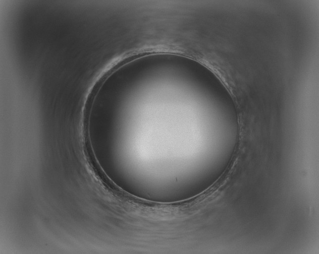 X0000073830008200608170953