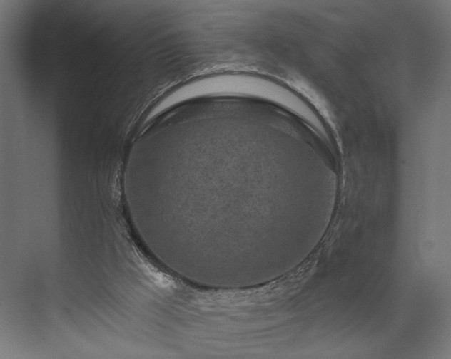 X0000073830009200608170953