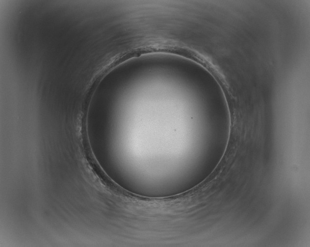 X0000073830010200608170953