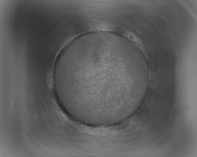 X0000073830012200608170953