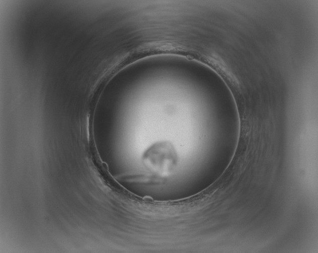 X0000073830014200608170953