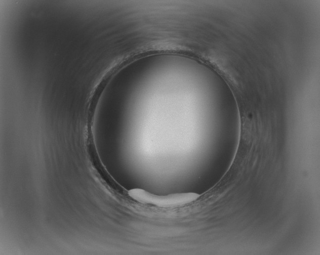 X0000073830015200608170953