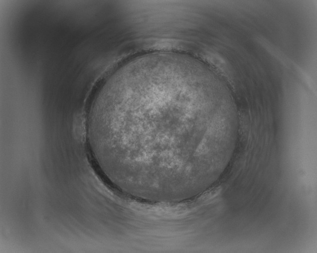 X0000073830016200608170953