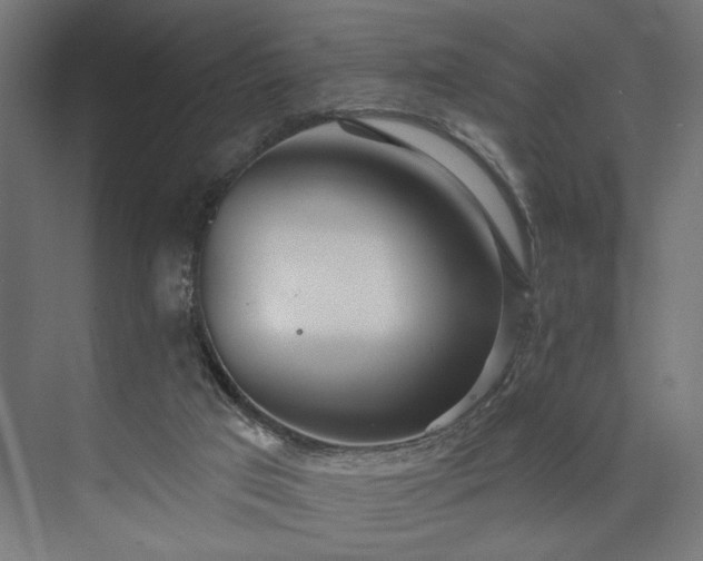 X0000073830017200608170953