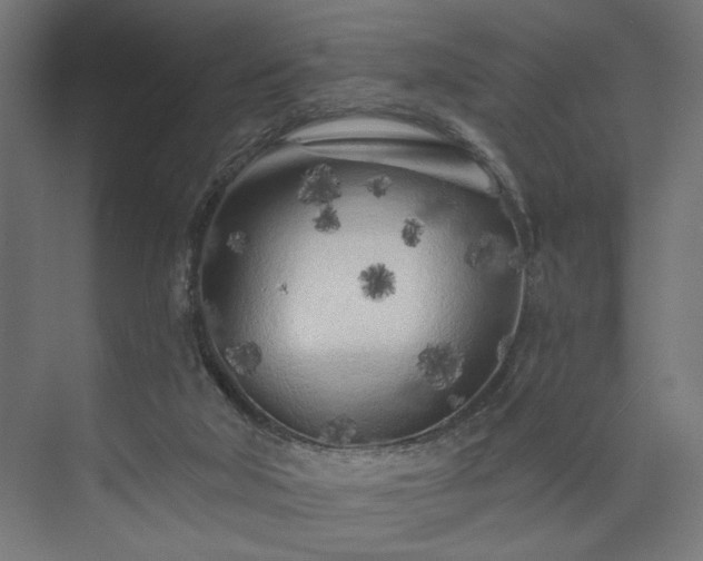 X0000073830018200608170953