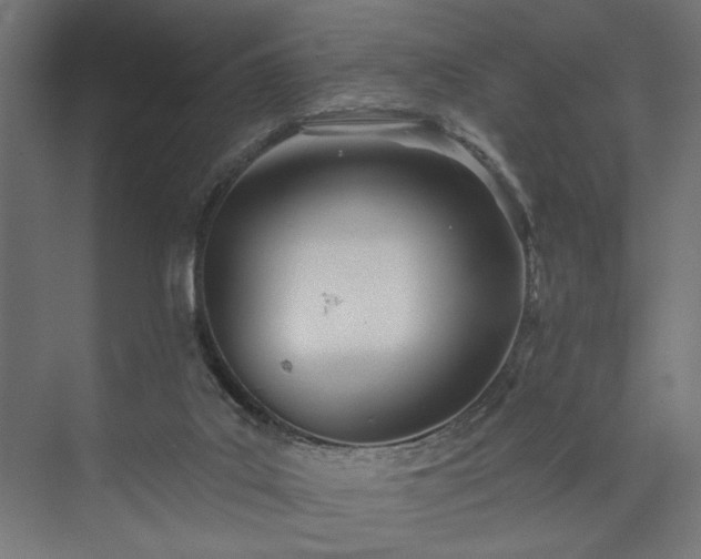 X0000073830019200608170953