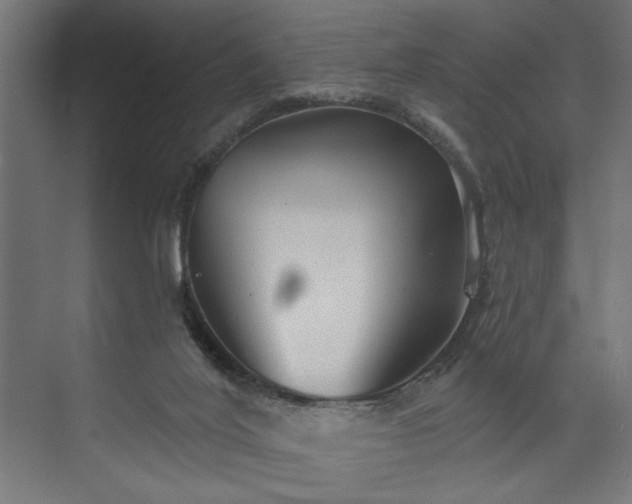 X0000073830020200608170953