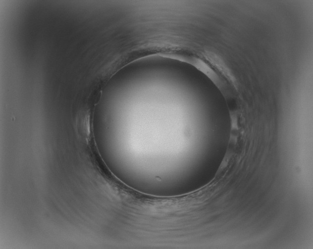 X0000073830021200608170953