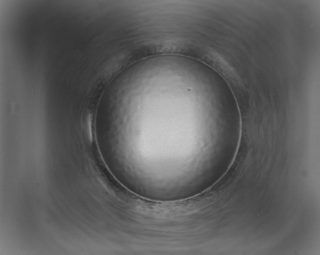 X0000073830022200608170953