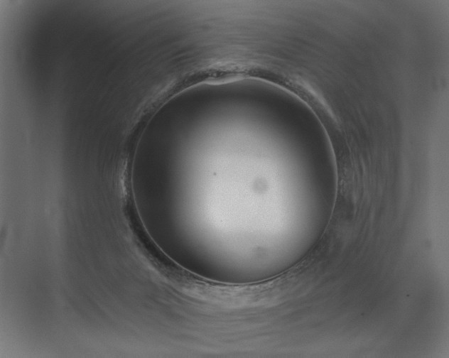 X0000073830023200608170952