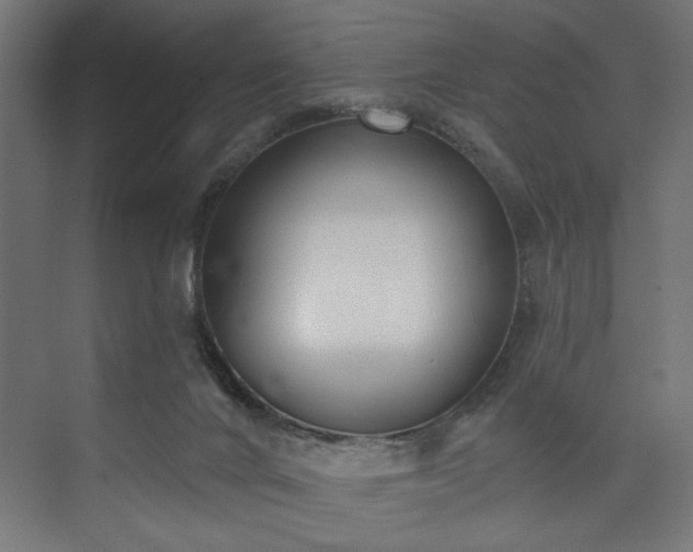 X0000073830024200608170952