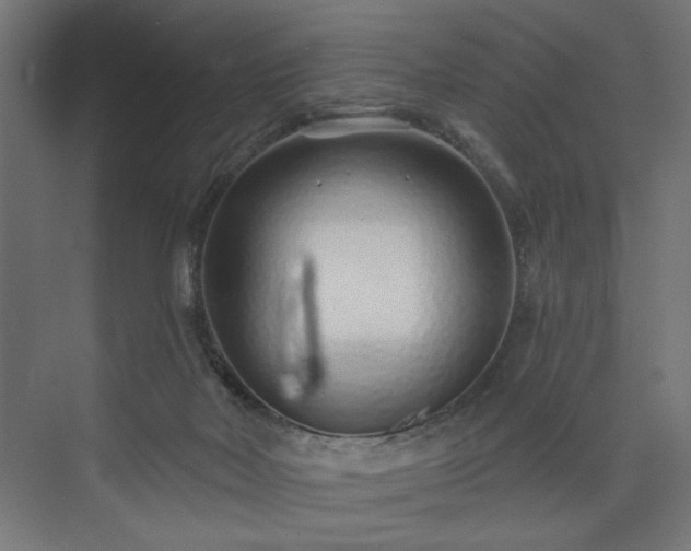 X0000073830026200608170952