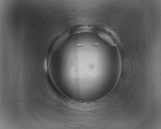 X0000073830027200608170952