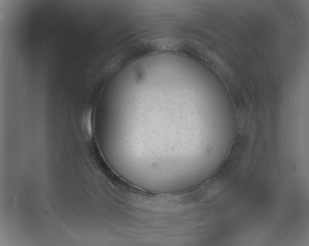 X0000073830028200608170952