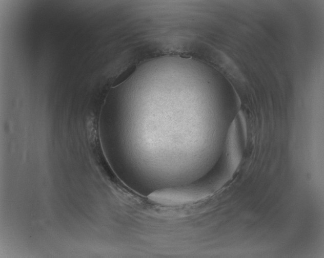 X0000073830029200608170952