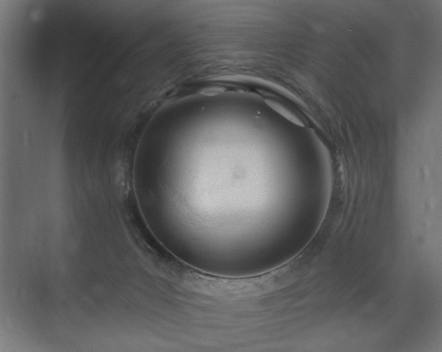 X0000073830031200608170952