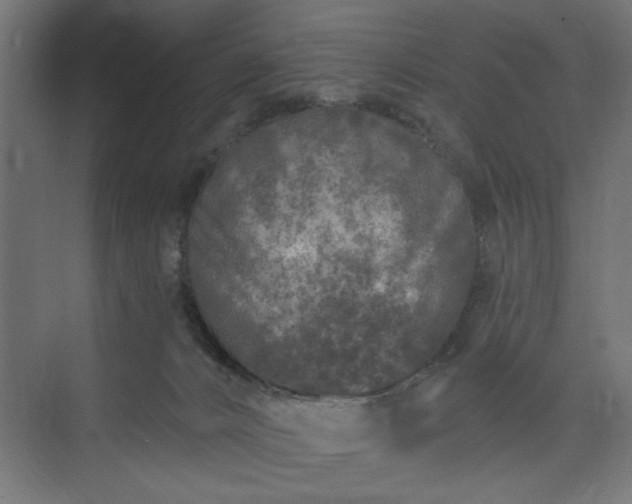 X0000073830032200608170952