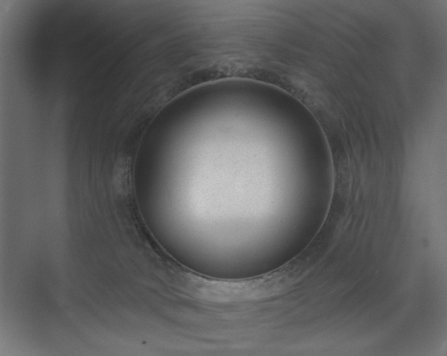 X0000073830034200608170952